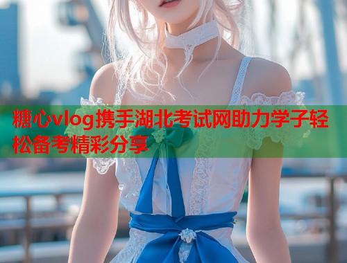 糖心vlog携手湖北考试网助力学子轻松备考精彩分享 糖心vlog携手湖北考试网助力学子轻松备考精彩分享